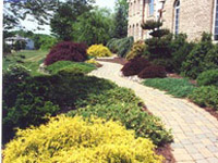 Professional Landscaping
