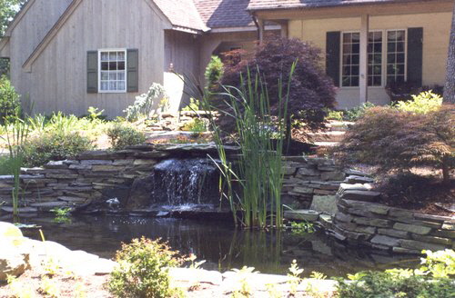 water-ponds-148