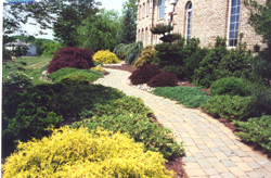 Professional Landscaping