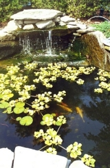 Waterfalls and  Ponds